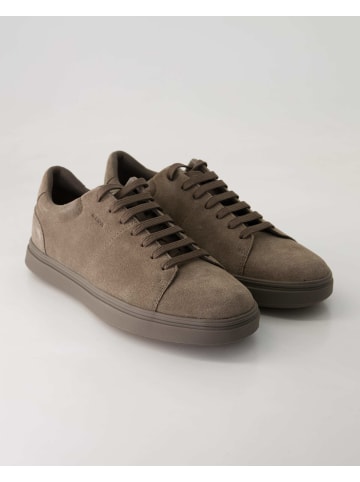 Geox Sneaker low in Grau