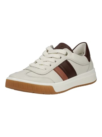 ara Sneaker in Weiß/Schwarz