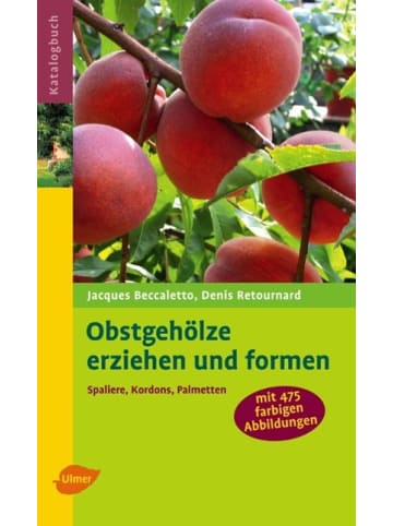 Ulmer Obstgehölze erziehen und formen