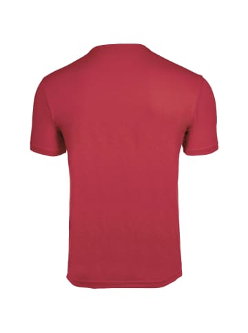Emporio Armani T-Shirt 2er Pack in Grau/Rot