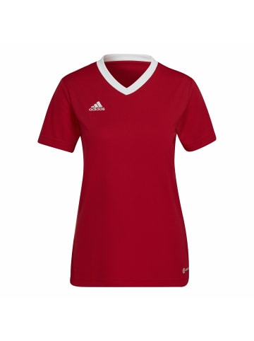 adidas für Damen in uni