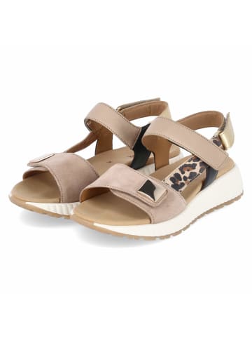 Gabor Sandalen in beige