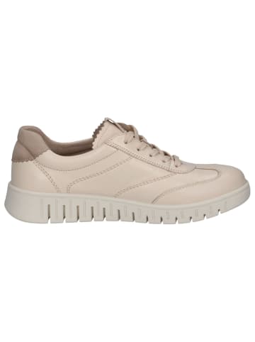 Caprice Sneaker in CREAM COMB