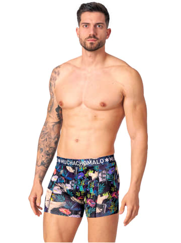 Muchachomalo 2er-Set: Boxershorts in Multicolor/Blue