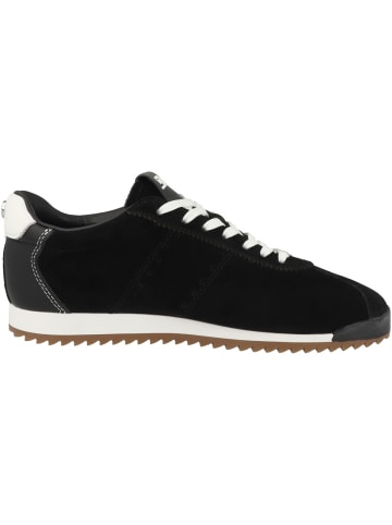 Steve Madden Sneaker low Mirage-Sm in schwarz
