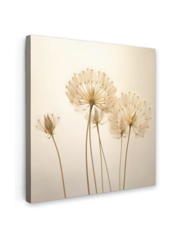 MuchoWow Leinwand bilder Flaum (BxH)