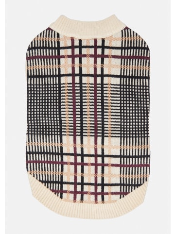 comma Accessories in 81N4_beige