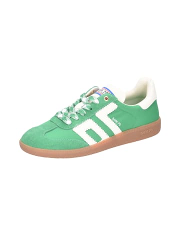 Back 70 Schnürschuhe in grün