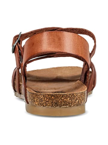 Cosmos Comfort Sandalen in Braun