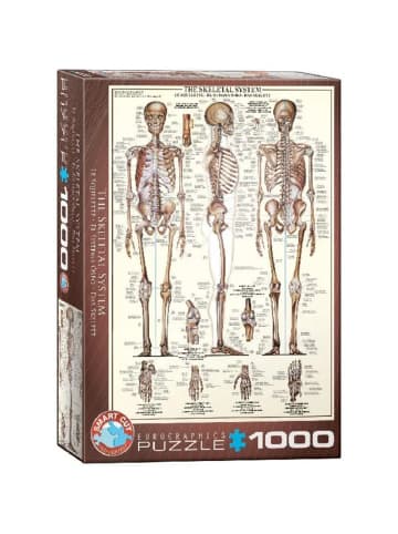 Eurographics Das Skelett (Puzzle)