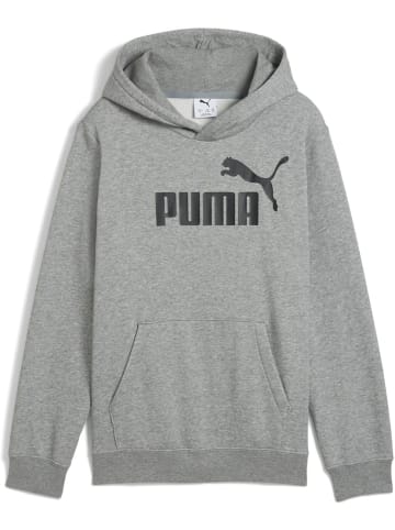 Puma Hoodie "ESS No.1 Logo Hoodie FL B" in Grau