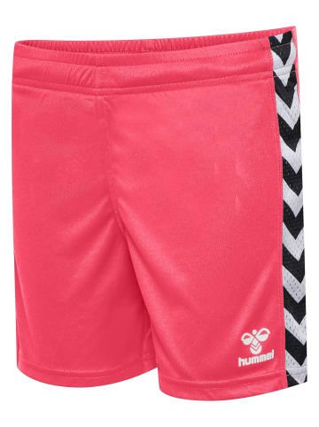 Hummel Kurze Hose Playful Shorts Kinder in PINK GLO