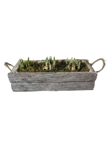 MeinVIPShop Arrangement Frühling Holzkiste Narzissen