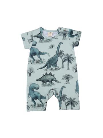 Walkiddy Strampler Dinosaurland - Baumwolle (Bio)