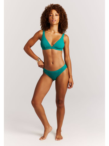 Protest " PRTAnni in Peacock Green