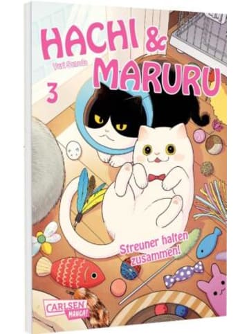 Carlsen Buch - Hachi & Maruru - Streuner halten zusammen! 3