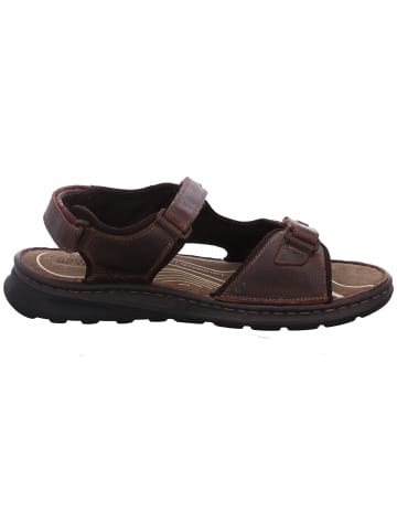 Camel Active Sandale  in Braun