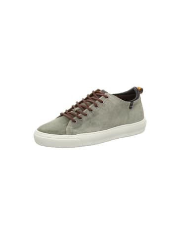 Floris van Bommel Sneaker Low in grau