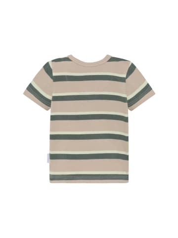 Noppies T-Shirt Stripe in Irish Cream