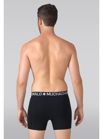 Muchachomalo 7er-Set: Boxershort in Mehrfarbig - für Herren