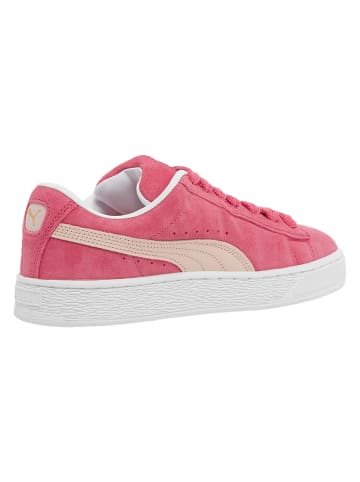 Puma Sneakers in tart cherry/island park