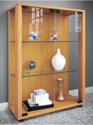 VCM  Holz Glas Stand Vitrine Sammelvitrine Sintalo in Buche