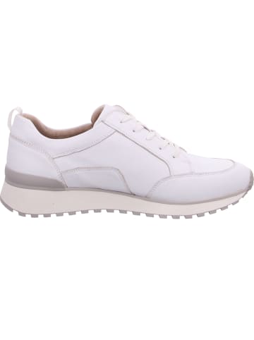 Caprice Sneaker  in Weiß