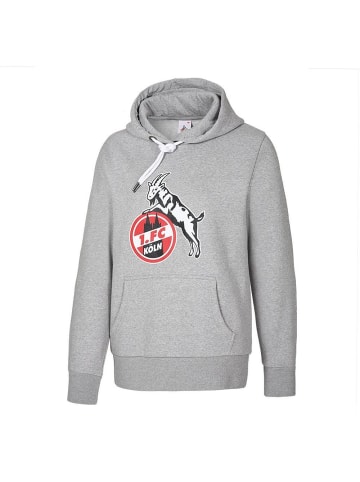 Fußballverein 1. FC Köln Hoodie "Hoodie Basic" in Grau