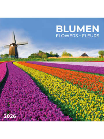 TUSHITA Kalender - Blumen vom Feld 2026