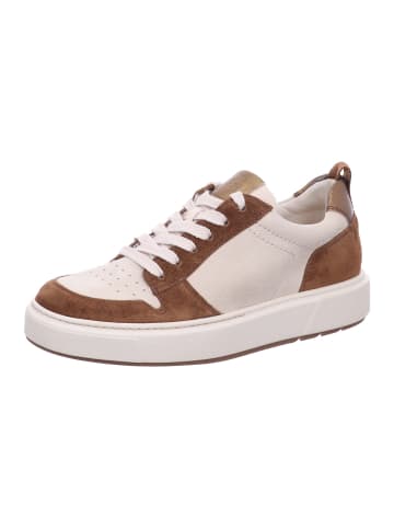 Paul Green Sneaker Low in beige