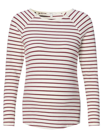 ESPRIT Still-Shirt in Plum red