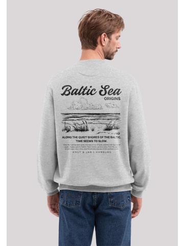 F4NT4STIC Sweatshirt Knut und Jan Hamburg in grau meliert