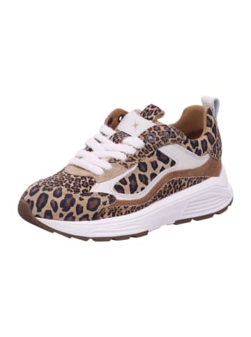 Xsensible Damen- Schnürschuhe Milau in Braun