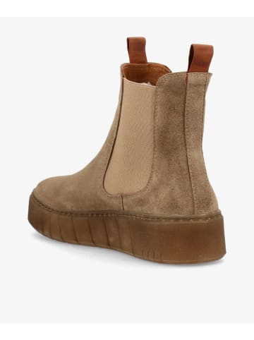 phenumb Schnürschuh in beige