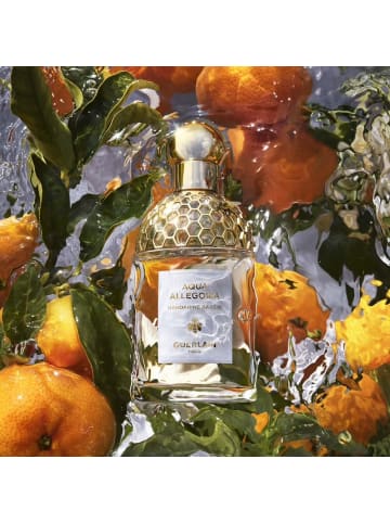 Guerlain Eau de Toilette Sprühnebel Aqua Allegoria Mandarine Basilikum 125 ml