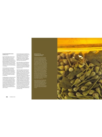 Matthaes Kochbuch - Fermentation