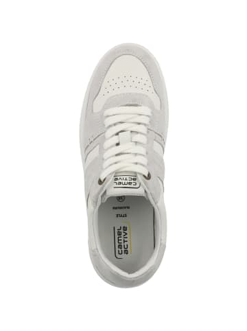 Camel Active Sneaker low 55BNN11 in weiss