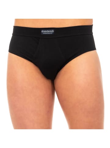 Abanderado 2er-Set: Slip in Multicolored