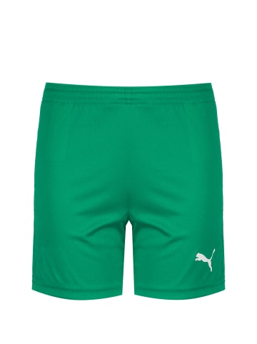 Puma Trainingsshorts TeamGOAL 23 Knit in grün