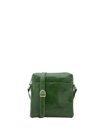 Viola Castellani Umhängetasche in GREEN