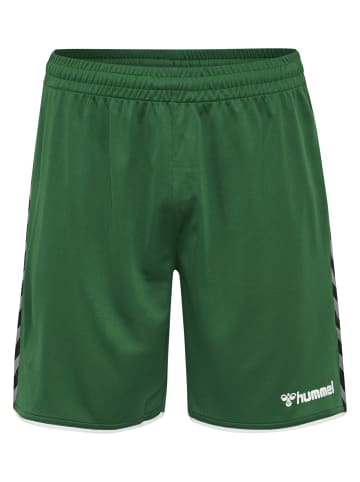 Hummel Hummel Poly Kurze Hose Hmlauthentic Multisport Herren Leichte Design Schnelltrocknend in EVERGREEN