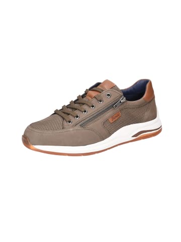Sioux Schnürschuhe  Sportlich in braun