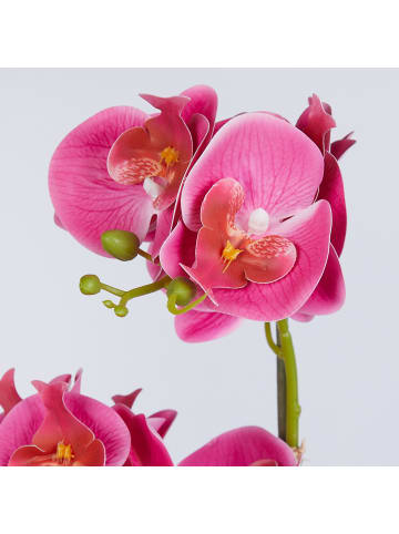 Butlers Kunstblume FLORISTA Orchidee in Pink