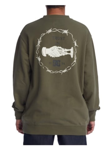 DC Shoes Trust Us Sweatshirt in Grün
