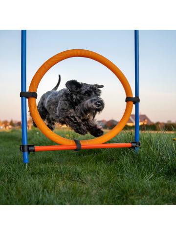 relaxdays 76-tlg. Agility Set in Blau/ Orange