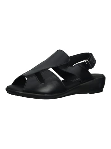 ARCOPEDICO Sandalen in Schwarz