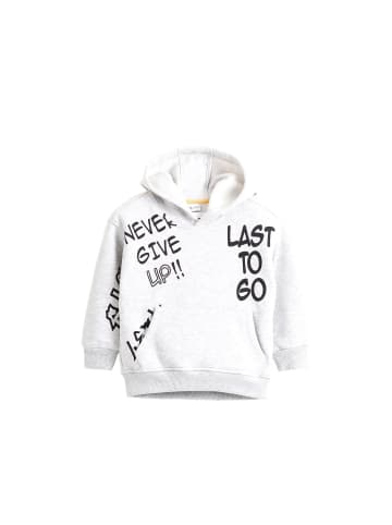 SOLANG Sweatshirt in Hellgrau