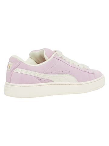 Puma Puma in grape mist/warm white