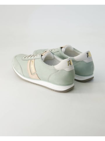 Paul Green Sneaker low in Grün