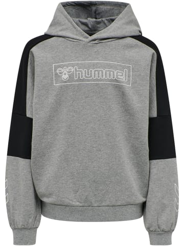 Hummel Hmlboxline Mädchen in MEDIUM MELANGE
